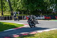 cadwell-park;cadwell-park-photographs;cadwell-trackday-photographs;enduro-digital-images;event-digital-images;eventdigitalimages;peter-wileman-photography;racing-digital-images;trackday-digital-images;trackday-photos